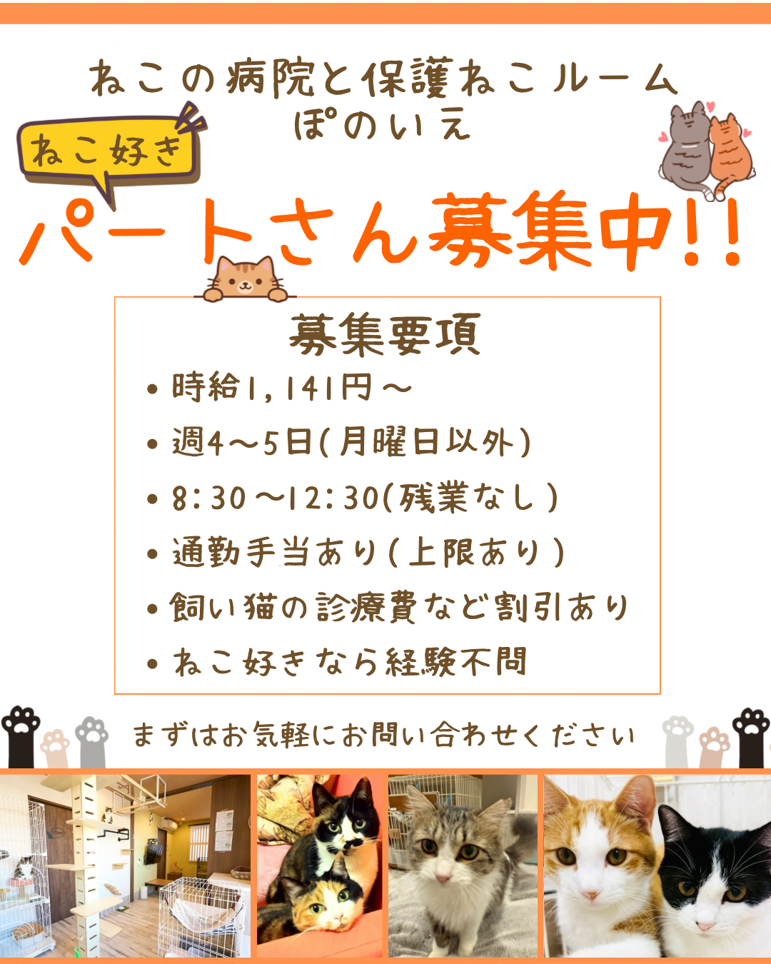 ねこの病院と保護ねこルーム ぽのいえ