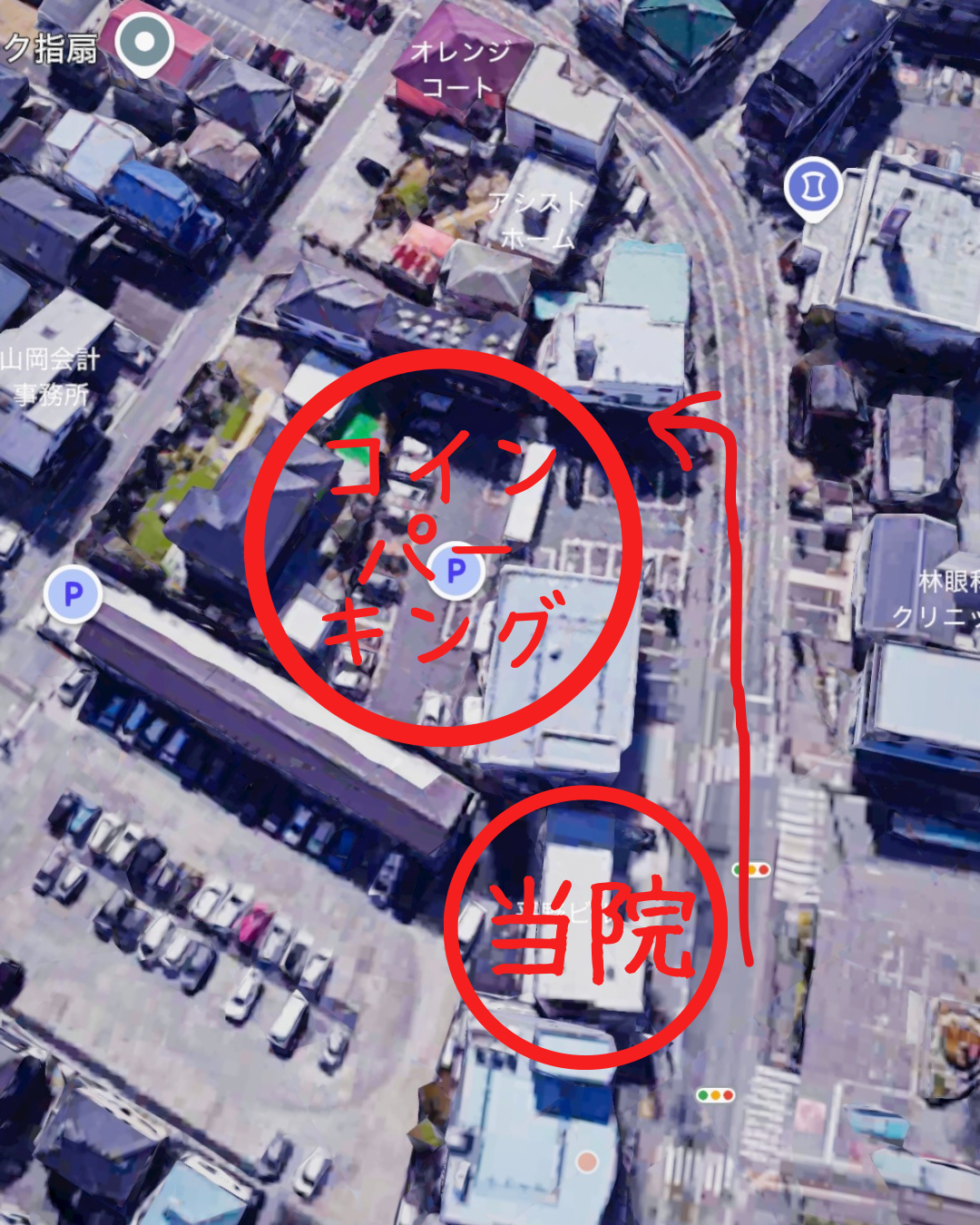 段落テキスト - 5